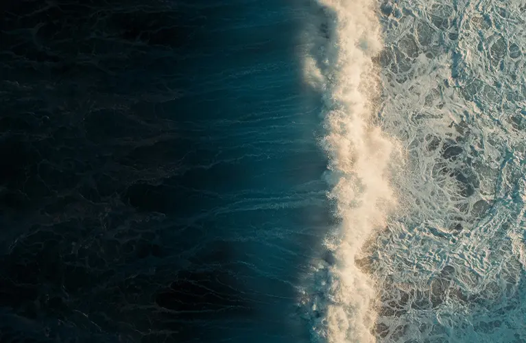 Birdon Wave